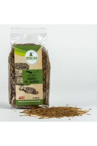 Siyez Evi Kastamonu Siyez Unlu Sebzeli Tel Şehriye 300 Gr